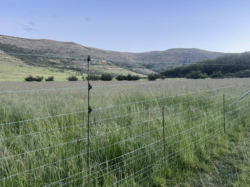 0 Bedroom Property for Sale in Fouriesburg Free State